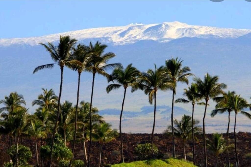 Апартаменты Kilauea Iki- Hale Kumu La'Au Волкано Экстерьер фото